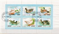 [Ducks, 类型 ASZ]