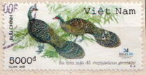 [Birds, Вид CQH]