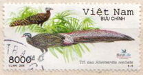 [Birds, Вид CQI]