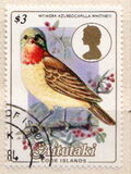 [Birds, Tipi LS]