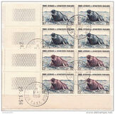 [Penguins and Seals, type D1]