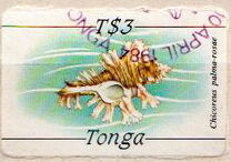 [Marine Life, type AFE]