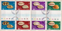 [Cowrie Shells, प्रकार DL]