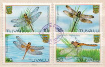 [Dragonflies, 類型 GH]