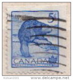[National Wildlife Week, type GQ]