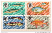 [Fish, type BX]
