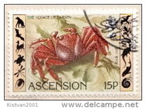 [The 150th Anniversary of Charles Darwin's Voyage, type IW]