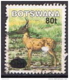 [Mammals, type ABY]