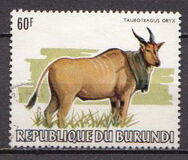 [African Animals, Tüüp AXC]