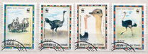 [World Wildlife Fund, Tip AIX]