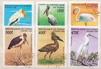 [Birds, වර්ගය BBI]