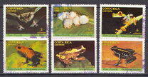 [Flora and Fauna - Bats and Frogs, Tipi AHN]
