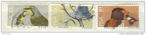 [Flora and Fauna, type NG]