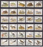 [Endangered Fauna, type ADO]