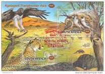 [Kgalagadi Transfrontier Wildlife Park, type AUU]