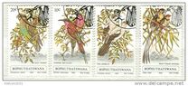 [Birds, type BH]