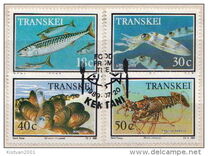 [Marine Life, type IE]