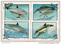 [Dolphins, Typ JH]