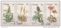 [Medicinal Plants, type Y]