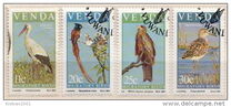 [Migratory Birds, Tipe CM]