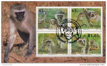 [Monkeys, type JI]
