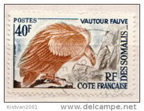 [Flora and Fauna, Typ DP]