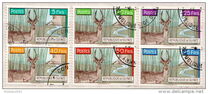 [Bohor Reedbuck, type AC]