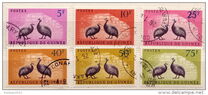 [Birds - Guineafowl, Вид AE]