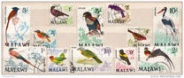 [Birds, tegund BK]