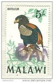 [Birds, type BU]