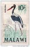 [Birds, type BV]