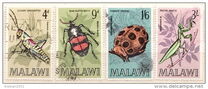 [Insects of Malawi, type CI]