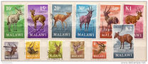 [Decimal Currency - Antelopes, タイプ CX]