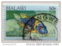 [Fish, type MP]