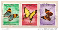 [Butterflies, tipas NC]