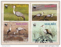 [Wattled Crane, ประเภท OV]