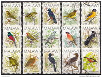 [Birds, type PT]