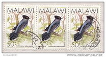 [Birds, type QD]