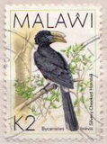 [Birds, type QG]