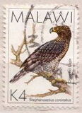 [Birds, type QH]