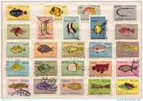 [Fish, type BY]