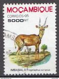 [Mammals, type AKT]