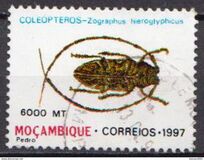 [Beetles, प्रकार AMI]