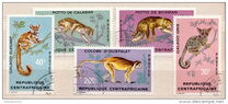 [Animals - Primates, प्रकार IH]