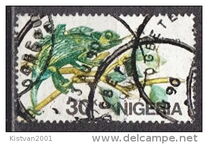 [African Reptiles, tegund OV]