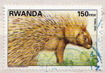 [Native Animals, type AXB]