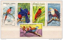 [Birds, type CA]