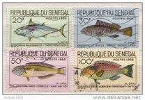 [Fish, տեսակ FF]