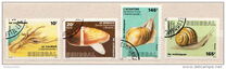 [Molluscs, Tüüp ADI]