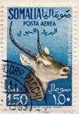 [Airmail, סוג CL]